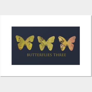 Butterflies Three Posters and Art
